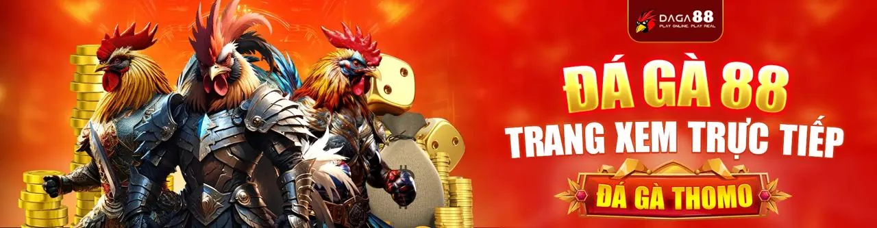 Cá cược thể thao 6ff